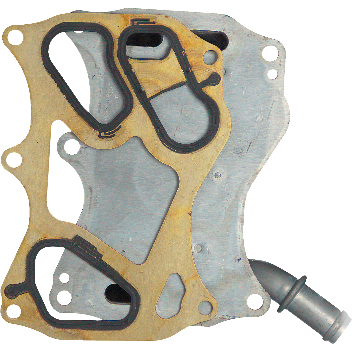 FEBI | Oil Cooler with gasket 172719 | OE 276 188 00 01 S1 | Fits Mercedes-Benz