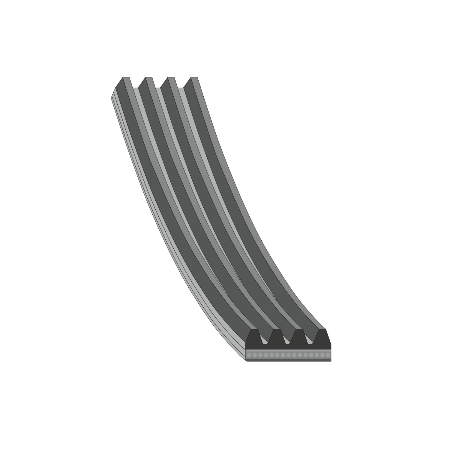 FEBI | Auxiliary Belt 28789 | OE 64 55 7 795 144 | Fits BMW, Hyundai