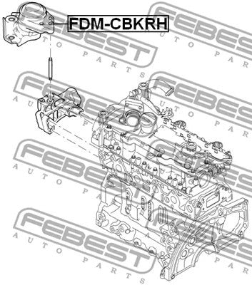 FEBEST 2001-2008 Ford Fiesta Right Engine Mount (Hydro) FDM-CBKRH