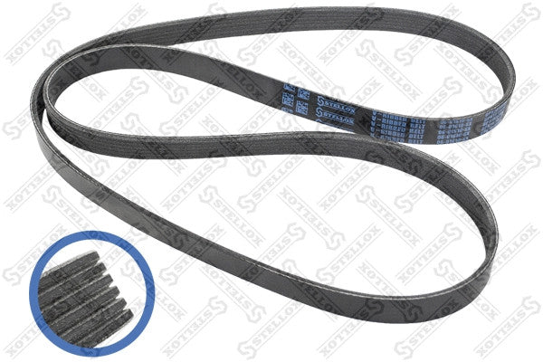 STELLOX FORD V-ribbed belt - 1102826