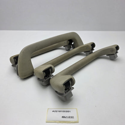 2005-2013 Mercedes-Benz S-Class Front Roof Grab Handle A2218100351