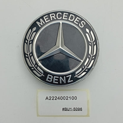 2021 Mercedes-Benz CLS Wheel Center Cap A2224002100