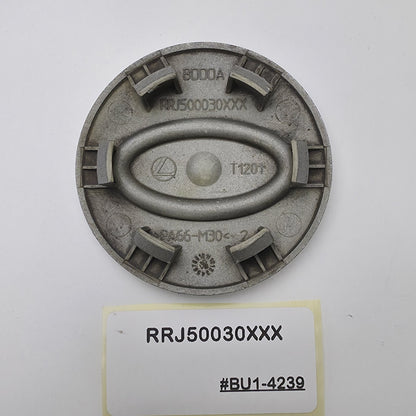 2010 Land Rover Discovery 4 Wheel Center Cap RRJ50030XXX