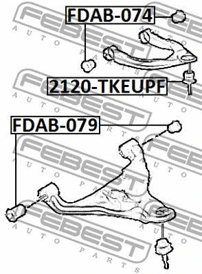 FEBEST 2011-2015 Ford Ranger Front Lower Control Arm Bushing FDAB-079