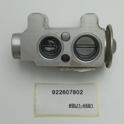 2004-2018 BMW X3 A/C Expansion Valve 922607802