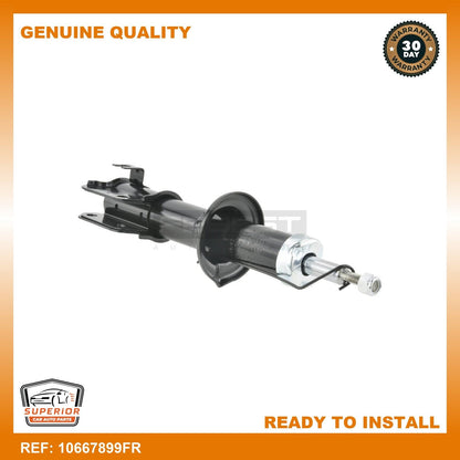 FEBEST General Motors Shock Absorber 10667899FR