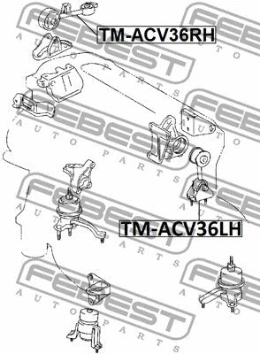 FEBEST 2002-2006 Toyota Camry Left Engine Mount TM-ACV36LH