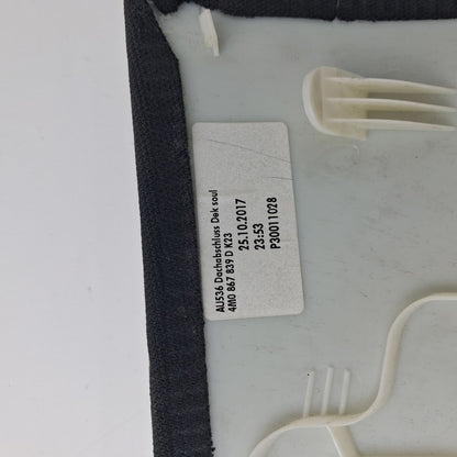 2016-2024 Audi Q7 Rear Roof Trim Panel 4M0867839