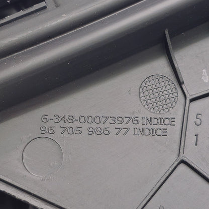 2006-2011 Peugeot 207 molding 9670598677