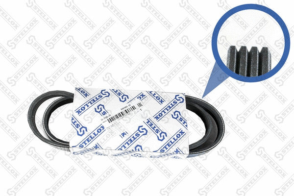 STELLOX FORD V-ribbed belt - F87A19D621AB