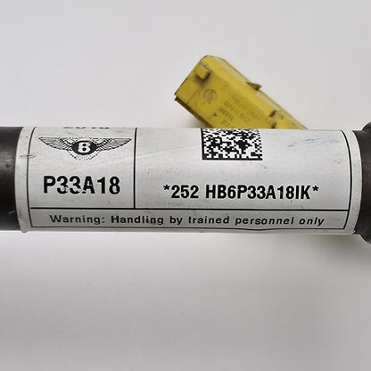 2018-2024 Bentley Continental GT BONNET ACTUATOR 3SA823823