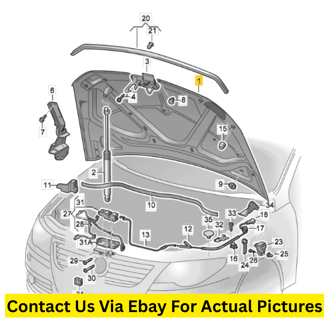 2012 Volkswagen CC Hood / Bonnet Panel Used OEM 3C8823031B