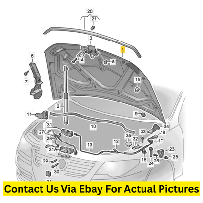 2012 Volkswagen CC Hood / Bonnet Panel Used OEM 3C8823031B