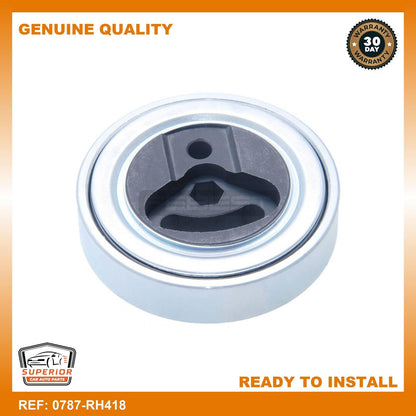 FEBEST SUZUKI Tensioner Pulley 0787-RH418