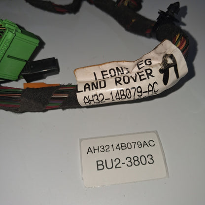 2010-2013 Land Rover Range Rover Sport Center Console Wire  AH3214B079AC