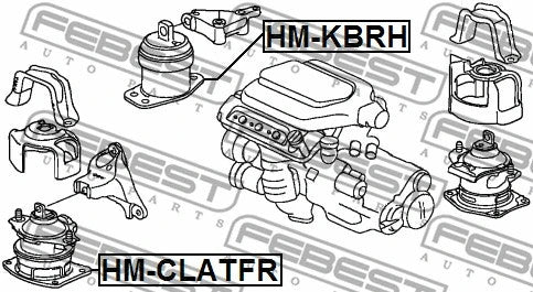 FEBEST 2005-2010 Acura RL Right Engine Mount (Hydro) HM-KBRH