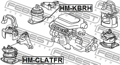 FEBEST 2005-2010 Acura RL Right Engine Mount (Hydro) HM-KBRH