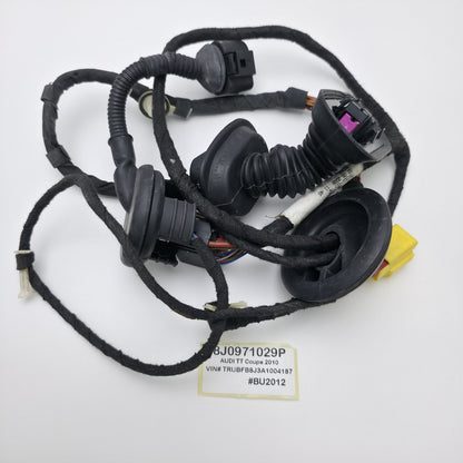 2007-2014 Audi TTS Front Left Door Wiring Harness 8J0971029P