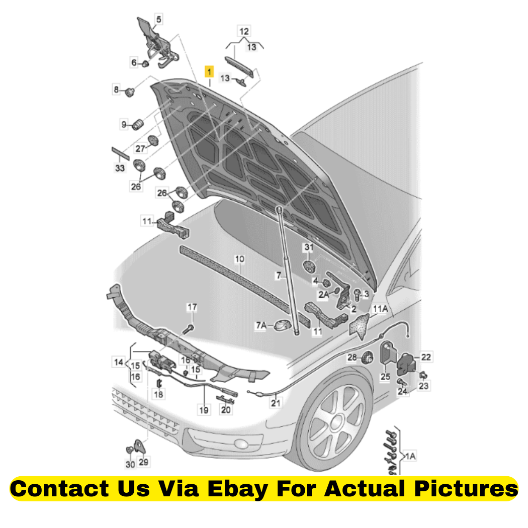 2013 Audi Q5 Front Hood (Bonnet) Used OEM 8R0823029