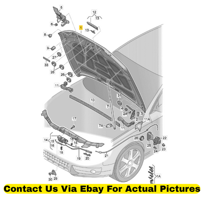 2013 Audi Q5 Front Hood (Bonnet) Used OEM 8R0823029