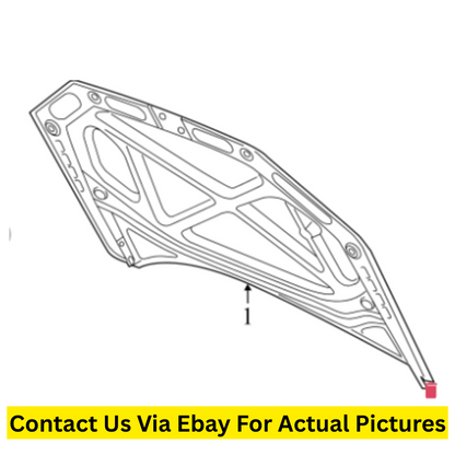 2014 Volkswagen Passat Hood Panel Used OEM 561823031E