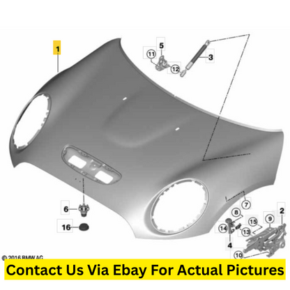 2016 Mini Cooper Clubman Hood Used OEM 41007438917