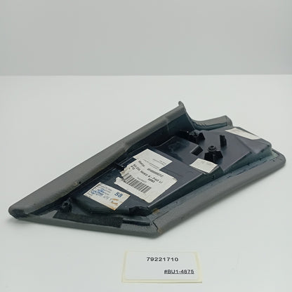 2007-2009 Mercedes-Benz S-Class Center Console Decorative Trim 79221710