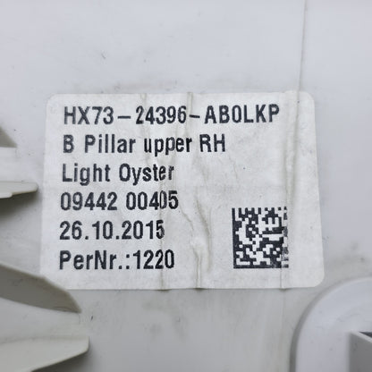2017-2020 Jaguar XE B PILLAR TRIM HX7324396AB