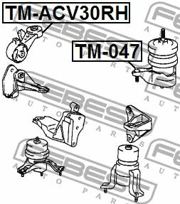 FEBEST 2002-2008 Toyota Camry Right Engine Mount TM-ACV30RH