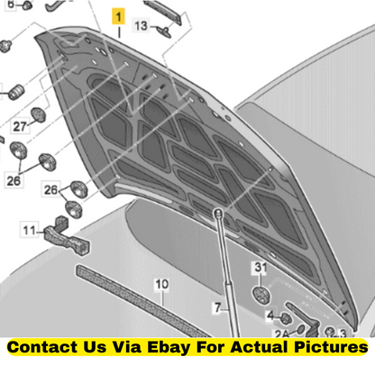 2013 Audi Q5 Front Hood (Bonnet) Used OEM 8R0823029