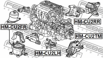 FEBEST 2008-2015 Acura TSX Transmission Mount (Hydro) HM-CU2TM