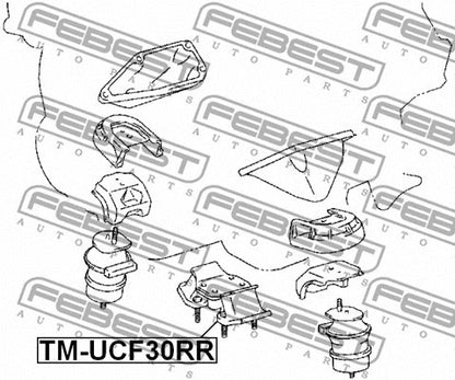FEBEST 2001-2006 Lexus LS430 Rear Engine Mount TM-UCF30RR