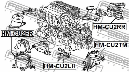FEBEST 2009-2014 Acura TSX Left Engine Mount HM-CU2LH