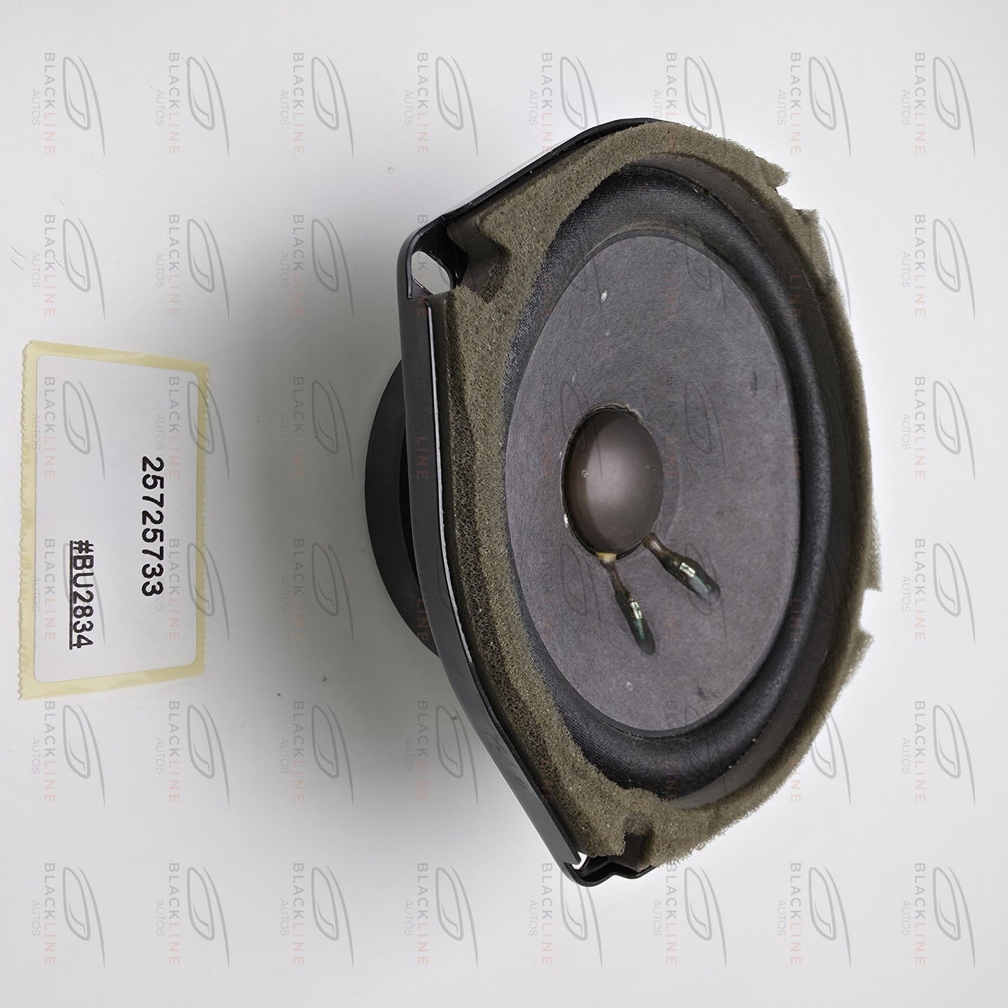 2005-2019 Cadillac STS Rear Door Speaker 25725733