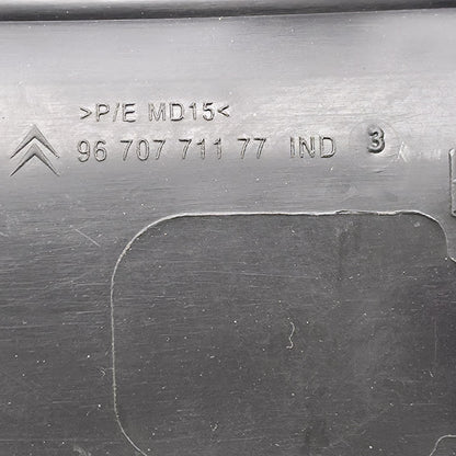 2006-2012 Peugeot 207 Molding 9670771177