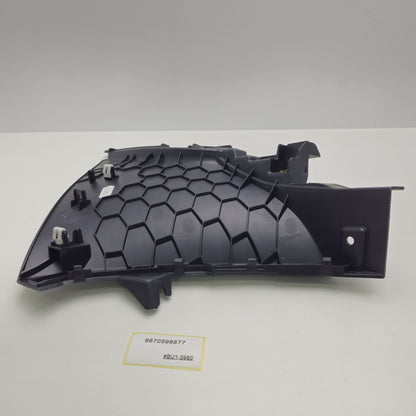 2006-2011 Peugeot 207 molding 9670598677