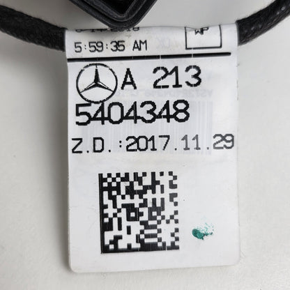 2017-2023 Mercedes-Benz E300 Electrical Wiring Harness Front Door A2135404348
