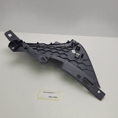 2006-2011 Peugeot 207 molding 9670598677