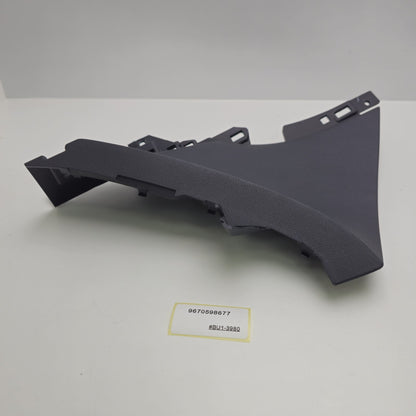 2006-2011 Peugeot 207 molding 9670598677