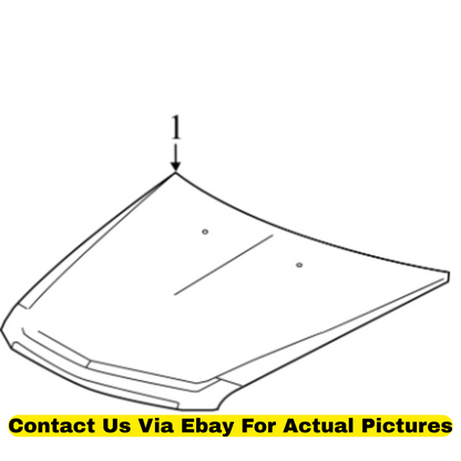 2011 Cadillac CTS Hood Panel Used OEM 19417144