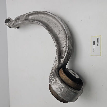 2012-2018 Audi A6 Control Arm 1160500265