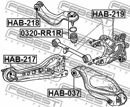 FEBEST 2007 Acura RDX Rear Knuckle Lower Bushing HAB-218