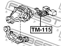 FEBEST 1992-2000 Toyota Corolla Rear Differential Mount TM-115
