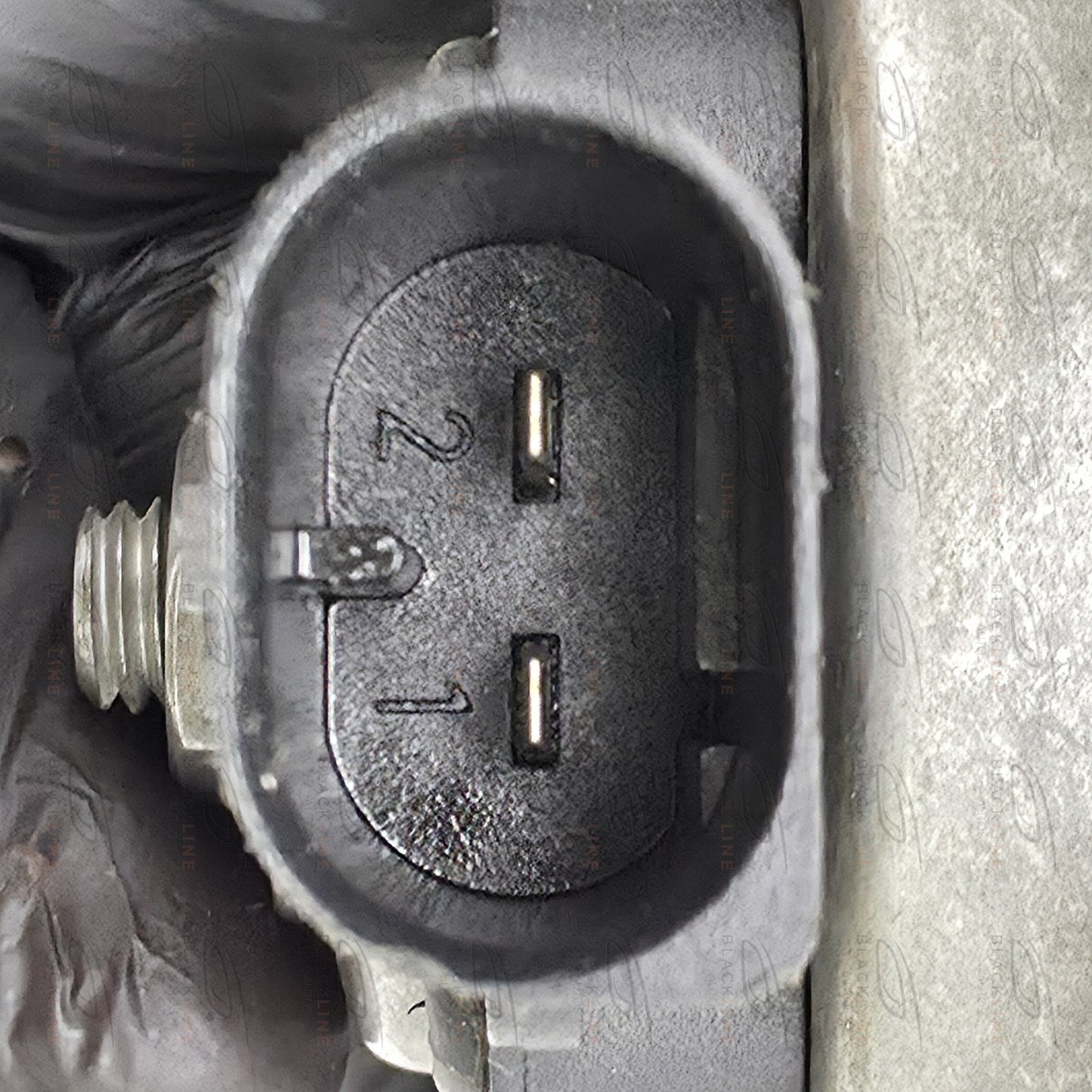 1999-2005 BMW 5 Series E39 Low Tone Horn 3881157