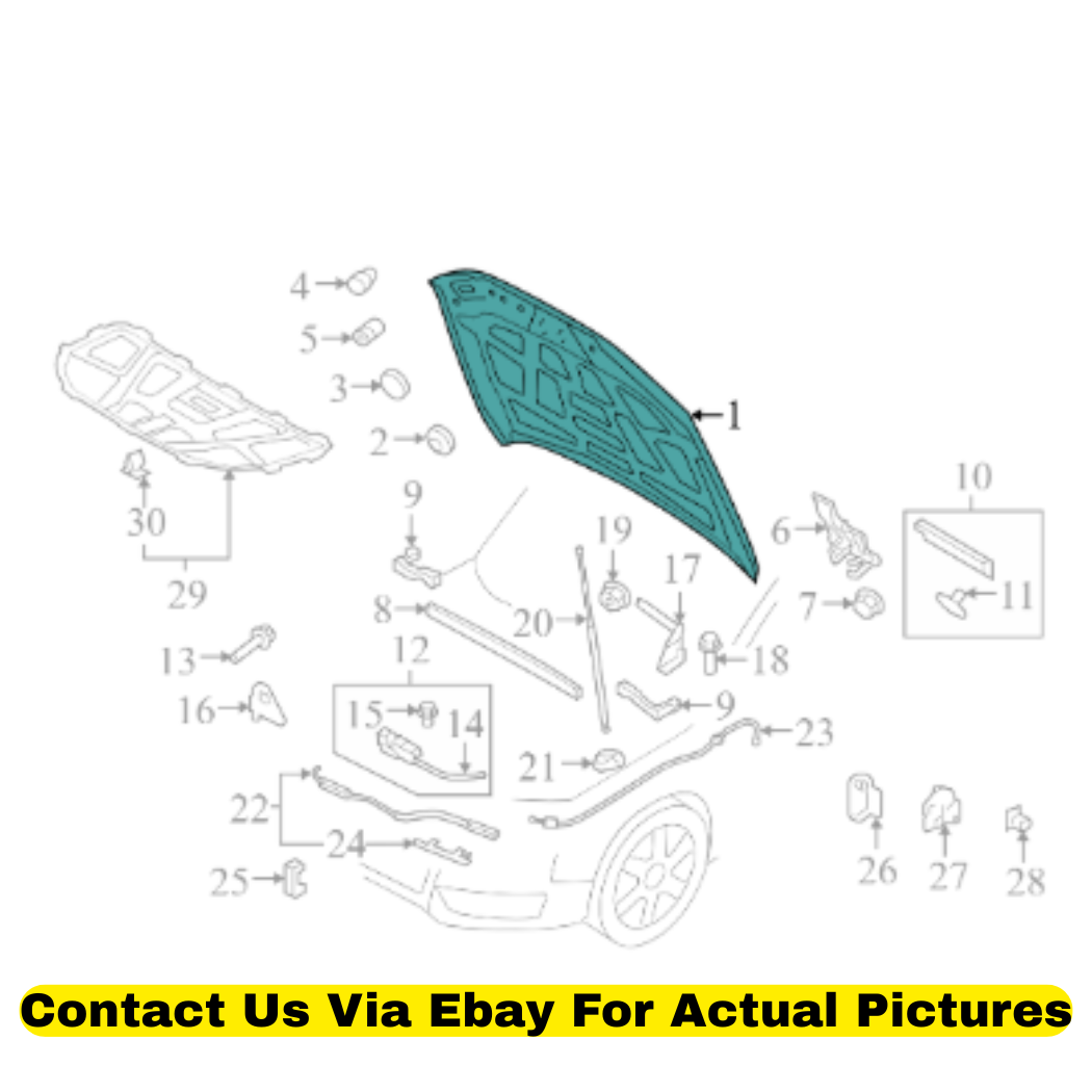 2013 Audi Q5 Front Hood Used OEM 8R0823029