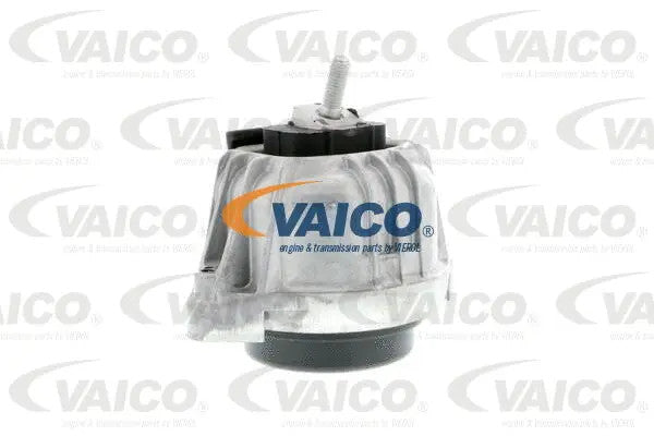 VAICO 2006-2011 BMW 323i Engine Mount V20-0794-1