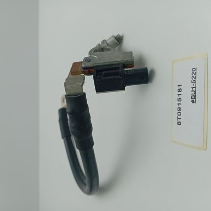 2013-2017 Audi A6 Control Unit For Battery Monitoring 8T0915181