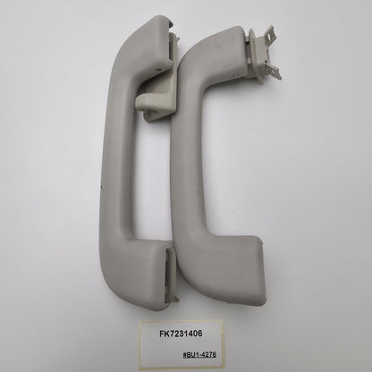 2016-2020 Jaguar XE Front Interior Roof Grab Handle FK7231406