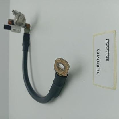 2013-2017 Audi A6 Control Unit For Battery Monitoring 8T0915181