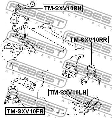 FEBEST 1991-1996 Toyota Camry Rear Engine Mount (Hydro) MT TM-SXV10RR